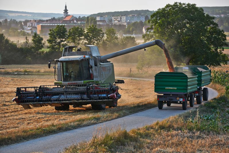 Mähdrescher am Feld